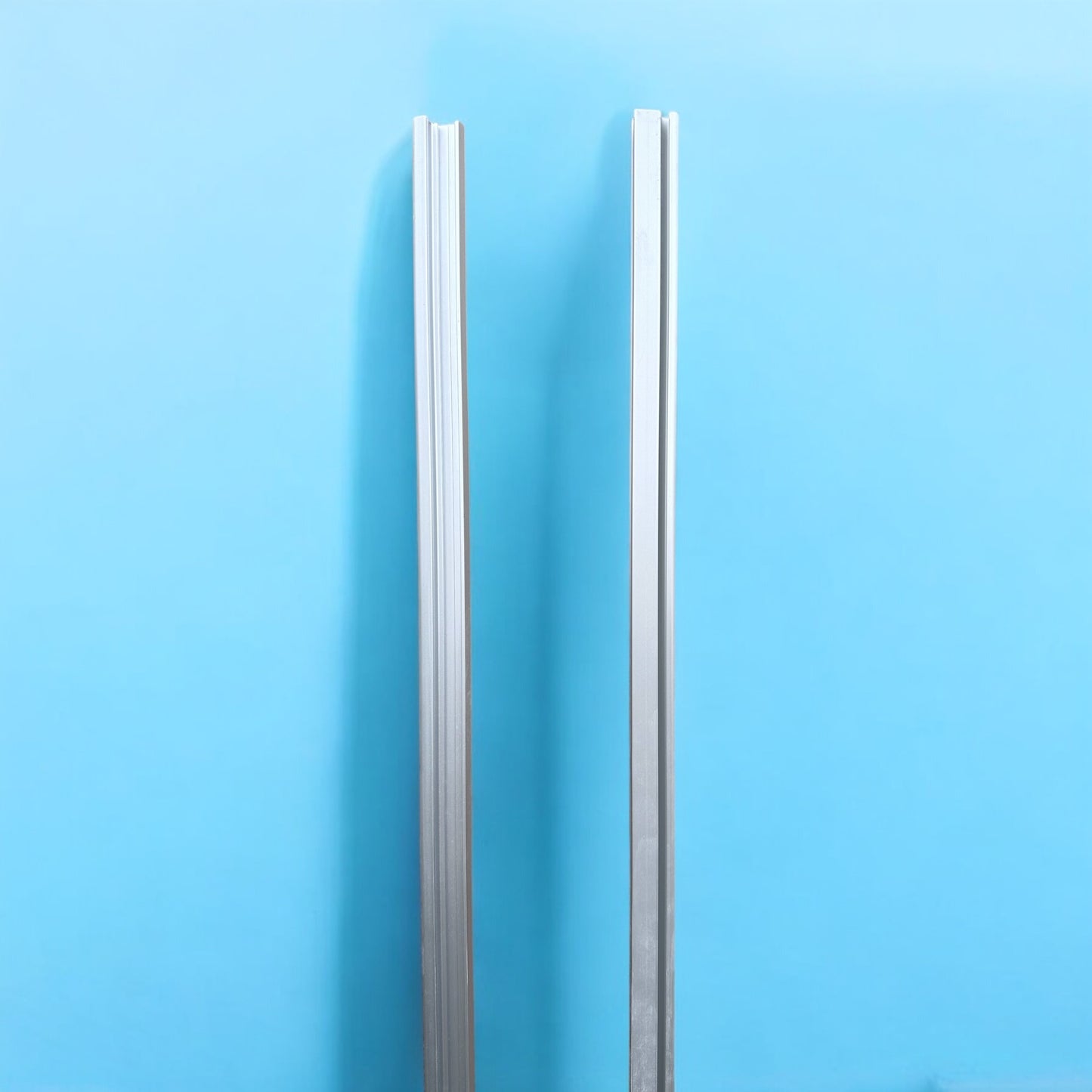 Compass caravan locker lid hinges